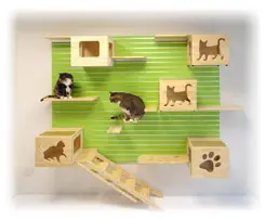 Cat Wall Shelves