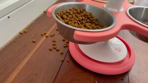 With the warmer weather come the Ants 🐜. 
But with the Anti Ant Raised Feeder, you simply but water in the moat and it stops the Ants from coming into your pets food. 

- STOP THE ANTS, without having to use any chemicals. 

- RAISED which helps arthritis and digestion.

- EASY TO CLEAN, all the bowls are stainless and can be removed and are dishwasher friendly. Infact the whole feeder can be washed easily.

- Check it out my website @krispet88 www.krispet.com.au
.
.
.
#antiant #raisedfeeder #bestcat #catfeeders #gingercat #antproblems #catfeeding #catfeeder #cateating #aussiecat #luxurycat #australian #catproducts #cat #catsofaustralia #meowdel #antiant #happycat #petsofinstagram #catsofmelbourne #catsofsydney #catsofbrisbane #raisedfeeder #catman #catlady #krispet #catbowl #meoow #apartmentcat #catsofadelaide #catsofperth #antsbegone