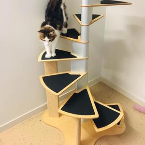 Looking for a stylish Cat Tower.
One that screws into the wall and can accomodate a growing cat not just a kitten. 
The Spiral Staircase is a purfect Cat Tower for big cats, it comes with three scratches and can easily be cleaned so that it continues to look this stylish. 
Check it out on our website www.krispet.com.au @krispet88 
.
.
.
#cattower #catlife #cattree #catfurniture #catsofaustralia #aussiecat #catstuff