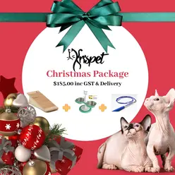 Christmas Package 1