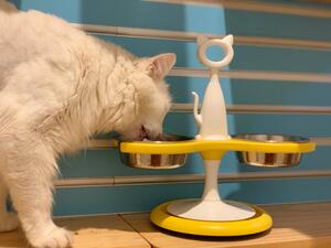 KRISPET SALE !!!
The Yellow Anti Ant 🐜 Raised Feeder.
Now comes with Shallow Bowls to add additonal comfort to the way your cat enjoys their favourite meal.

@krispet88 www.krispet.com.au

The Anti Ant Raised Feeder is unlike any-other product on the market.
If your looking for a Cat Feeder this summer that can do it all,
 check it out on our website while it's on SALE.

- STOP THE ANTS, without having to use any chemicals.
Just by adding water into the moat at the bottom of the feeder

- RAISED which helps arthritis and digestion.

- EASY TO CLEAN, all the bowls are stainless and can be removed and are dishwasher friendly. In fact the whole feeder can be washed easily.

check out my website 
https://www.krispet.com.au/buy/anti-ant-raised-feeders/two-bowl-anti-ant-cat-raised-feeder-yellow
*
*
*
#antiant #raisedfeeder #silvertabby #tabbycat #antproblems #catfeeding #catfeeder #catfeeders #aussiecat #luxurycat #australian #catfurniture #cat #catsofaustralia #meowdel #antiant #britishblueshorthair #petsofinstagram #catsofmelbourne #catsofsydney #catsofbrisbane #raisedfeeder #catman #catlady #krispet #catbowl #meoow #catfeeder #catsofadelaide #catsofperth #antsbegone