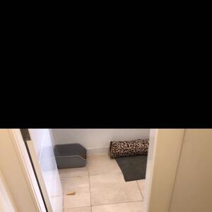 This is how our journey started. 

We were done with towers that would break, that we could not clean and that looked horrible in our house. 
Our Cats are two big boys and all that we could find was made for small kittens. 

We renovated our Cat room in 2017 and it still looks amazing. 

If you are after durable, strong and stylish products,
Check out our products online 

www.krispet.com.au 

.
.
.
#catroom #catsofaustralia #catfurniture #bigcats #maincooncat #tabby #cat #catproducts #catsofadelaide #catsofsydney #catsofmelbourne #cattree #cattower #catscratcher #catsofinstagram #catfood #aussie #aussiecat #fatcat