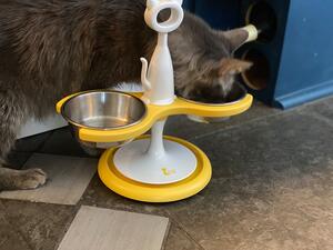 Yellow Two Bowl Anti Ant Feeder, now comes with shallow bowls.

- STOP THE ANTS, without having to use any chemicals.

- RAISED which helps arthritis and digestion.

- EASY TO CLEAN, all the bowls are stainless and can be removed and are dishwasher friendly. Infact the whole feeder can be washed easily.

- Check it out my website  www.krispet.com.au/anti-ant-raised-feeders
 Krispet Pty Ltd 
.
.
.
#antiant  #raisedfeeder #catfeeders  #antproblems  #catfeeding  #catfeeder #cateating #aussiecat #luxurycat #australian #catproducts #cat #catsofaustralia #meowdel #antiant #happycat #petsofinstagram #catsofmelbourne #catsofsydney #catsofbrisbane #raisedfeeder #catman #catlady #krispet #catbowl #meoow #catsofadelaide #catsofperth #antsbegone