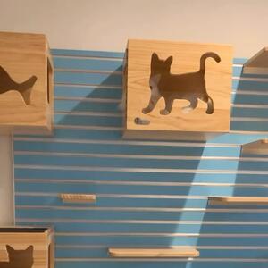 My Julian loving The 180cm Modular Catswall 

The Modular Catswall is a statement peice in any household.
It’s strong, durable easy to clean and what is most important your cats will LOVE IT !

@krispet88 www.krispet.com.au
.
.
.
#catfurniture #modularhome #vertical #catproducts #feline #catlovers #myhome #catsofsydney #catsofaustralia #sydneycat #catsofadelaide #catmum #catdad #catification #cattree #britishshorthair #catpawrents #keepcatsindoors #turkishvancat #catsofperth #catsoftasmania #catsofmelbourne
 #catlife #catfurniture #ragdoll #ragdollcat #maincooncat
