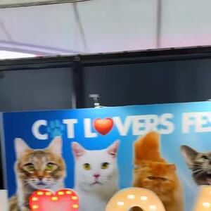 Our stand @catloversfestival Melbourne 2025. 
Last time we were in Melbourne was 2019 😲
Excited for day 2 tomorrow
Come say Meow stand G40
Check out our products on our website 
👉 www.krispet.com.au 
.
.
.
#catsupplies #petsupplies #catloversfestival #cats #petaccessories  #cataccessories #cat #cattoys #petshop #petproducts #petstore #catfood #petsofinstagram #catlover #catlovers #pets #kittens #catsofinstagram #petshopnovelties #puppyclothing #cattower #dogsandcats #catlife #melbourne