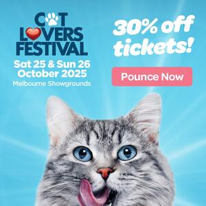 😻 Melbourne Cat Lovers Festival 
📅 Saturday 25 & Sunday 26 October 2025
📍 Melbourne Showgrounds, Stand Number: G40
🎟 Fetch an additional 30% OFF tickets with the promo code MEOW 👉 https://bit.ly/4agYEcM
.
.
.
#catloversfestivalmelbourne #catlovers #CatExpo #catproducts #CatFurniture