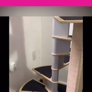 THE SPIRAL STAIRCASE - ONLY 4 LEFT !!

@milli_vanilli_the_cat 

No more Leaning tower of Cat, with this strong, stylish and modern design. That is built to last.

The stylish cat tree resembles a spiral staircase and is a modular product which can be assembled and disassembled with just a screwdriver.

It has a stable base and 3 full scratchers. It can be screwed directly into a wall. The proper spacing between the steps allows both old cats and kittens move up and down easily. 

Check it out on our website : www.krispet.com.au
.
.
.

#cattreelife #CatTree #cattree #cattrees #catfurnituredesign #cat #cattower #exoticshorthair #ragdoll #britishshorthair #maincoon #americanshorthair #sphynx #cat #kitten #catlife #bengal #devonrex
