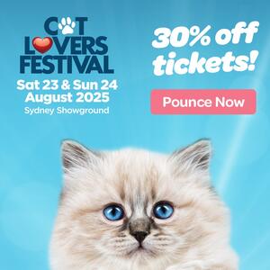ME-OW Krispet will be at the Cat Lovers Festival 
Saturday 23rd to Sunday 24th August at the Sydney Showground.
STAND  C105.
Pounce on your tickets now to recieve 30% off, Ticket Promo Code: MEOW
@catloversfestival
.
.
.
 #catlife #catfurnituredesign #sydneycat #livingwithcats #modular #catfurniture #mainecoon #catfeeders