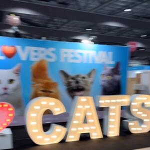 What a weekend @catloversfestival Sydney !!
We enjoyed you 🥰
.
.
.
#catlovers  #catloversfestival  #bengalcat #ragdollcat  #catclimbing #CatClimbing  #catteaser  #catfurniture  #cattree  #catscratcher  #girlboss