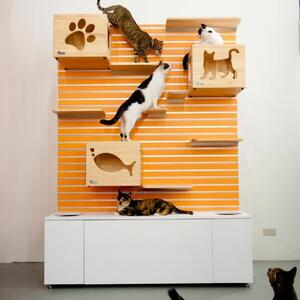 The Krispet Black Friday SALE is LIVE 🔥

The 150cm Modular Catswall in Orange.

We have 2x 150 walls left in stock. 

The Modular Catswall is easily installed on any wall and can even be put outside just as long as there is a cover. The boxes all easily come in and out and so do the shelves, so you can change things up. The best part is the cleaning, use F10 or any detergent and off you go. Each box can carry over 60kg and each shelf 30kg. Check out the Modular Catswall on my website 
www.krispet.com.au
.
.
.
.
#catfurniture #modularhome #vertical #catproducts #feline #tabby #bengal #catsofsydney #catsofaustralia #sydneycat #catsofadelaide #catmum #catdad #catification #cattree #catswall #moderncat #keepcatsindoors #moderncat #ragdoll #siberiancatsofinstagram #maincooncat #tuxedocatsofinstagram