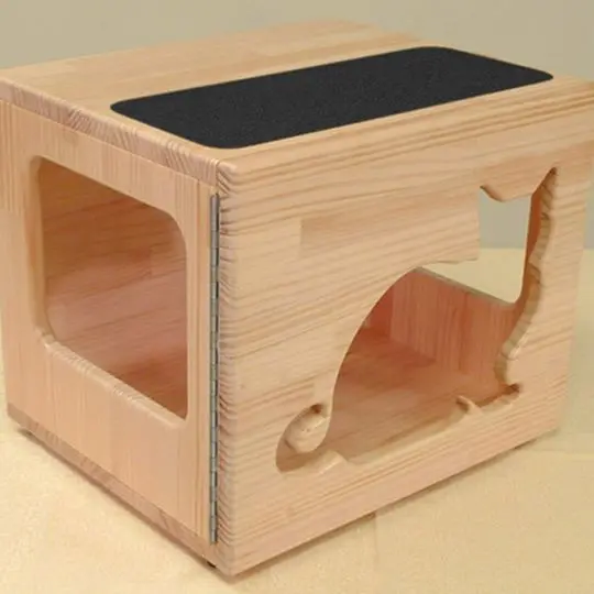 Cat Box