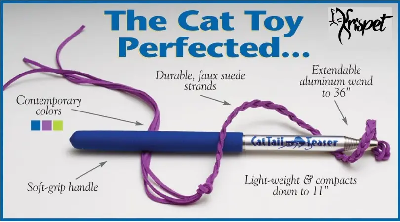 Cat Tail Teaser