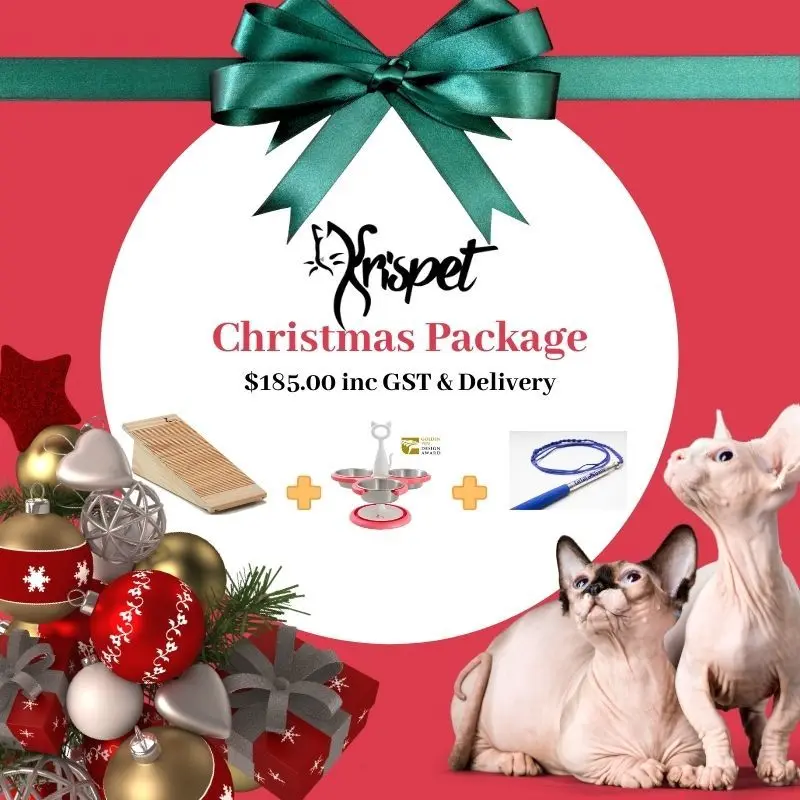 Christmas Package 2