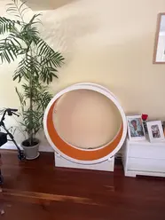 1. Cat Wheel II - 2ND HAND thumbnail
