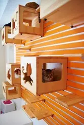 3. 180 cm Modular Cat Climbing Wall  thumbnail